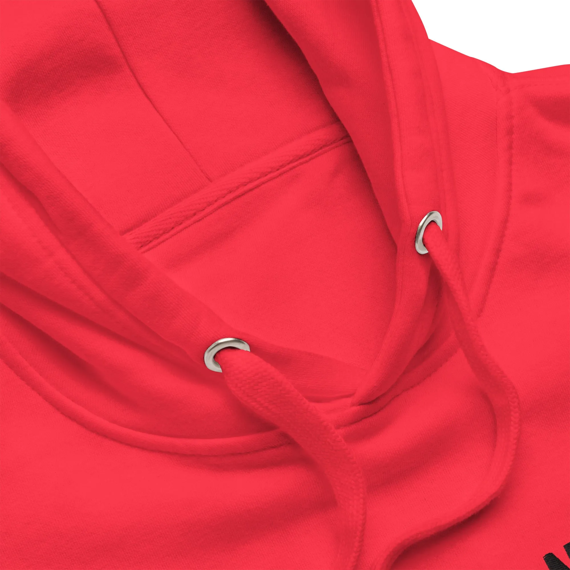 Albanian Football Embroidered Hoodie