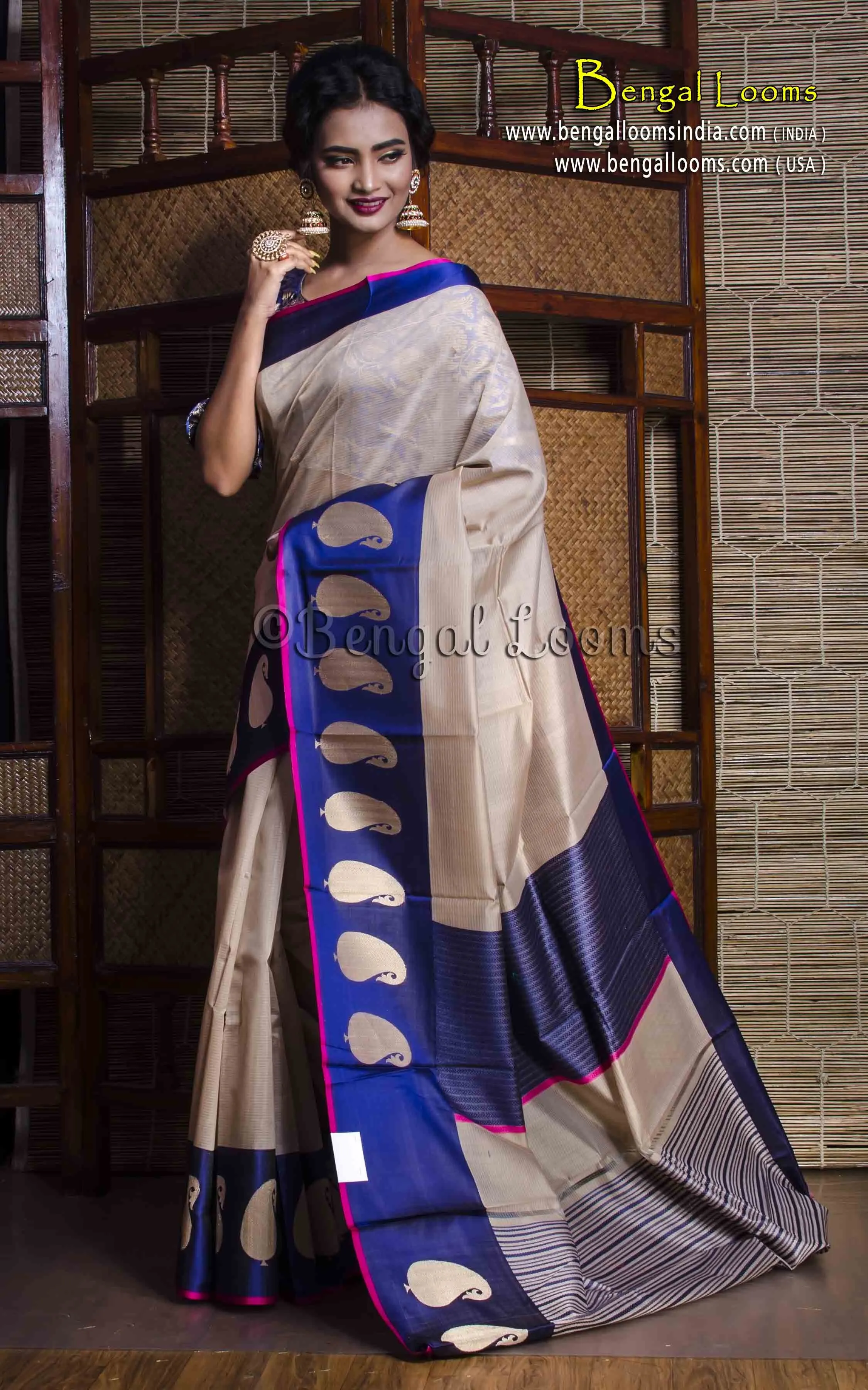 Cotton Silk Banarasi Saree with Satin Border in Beige and Blue