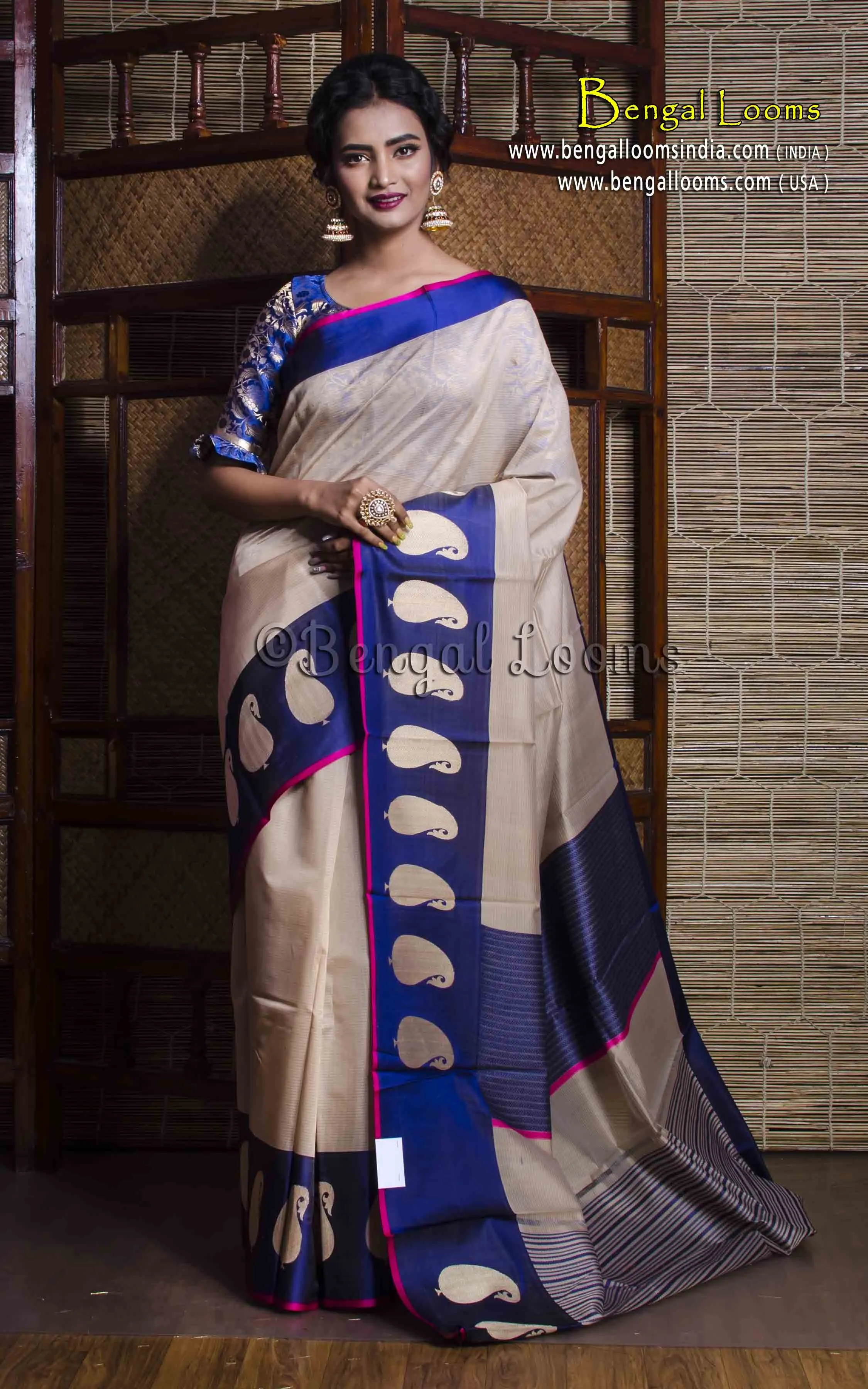 Cotton Silk Banarasi Saree with Satin Border in Beige and Blue